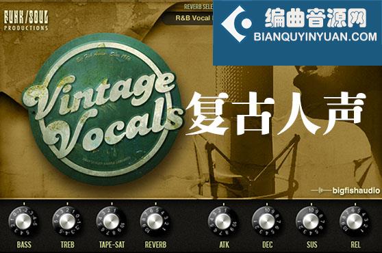 复古人声 Big Fish Audio Vintage Vocals 康泰克音源