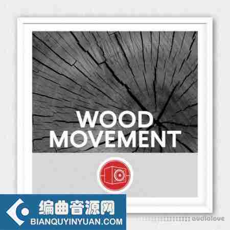 Big Room Sound Wood Movement WAV-FANTASTiC