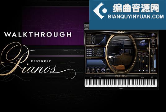 斯坦威大钢琴 East West Pianos Platinum Steinway D