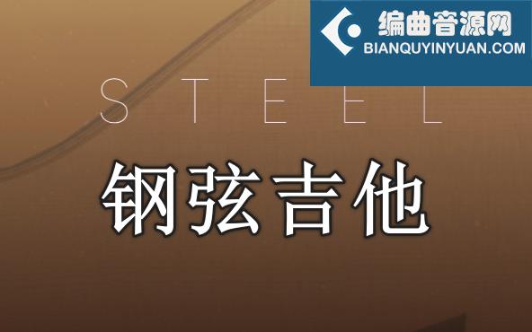 钢弦吉他 Evolution Series Prepared Colors Steel