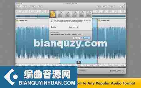 音频编辑工具 – Fission 2.8.0 MacOSX