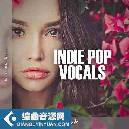 Image Sounds Indie Pop Vocals WAV