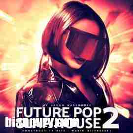 Mainroom Warehouse Future Pop Slap House 2 WAV MIDI Serum-DECiBEL
