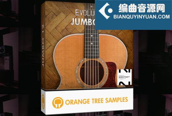 12弦原声大吉他 Orange Tree Samples Evolution Jumbo 12