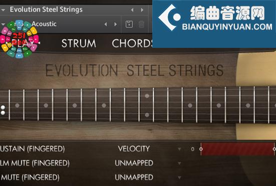 钢弦民谣吉他 Orange Tree Samples Evolution Steel Strings