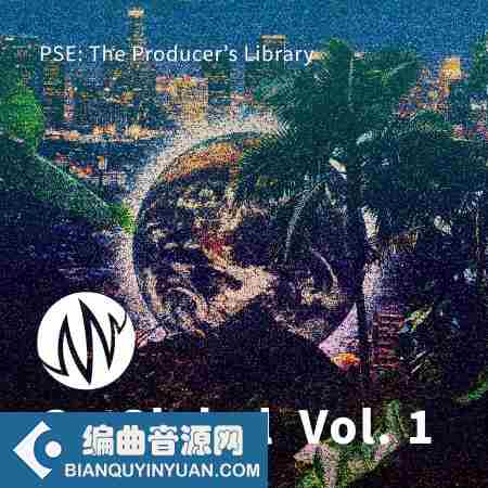 PSE The Producer’s Library Go Global Vol 1 WAV-FANTASTiC