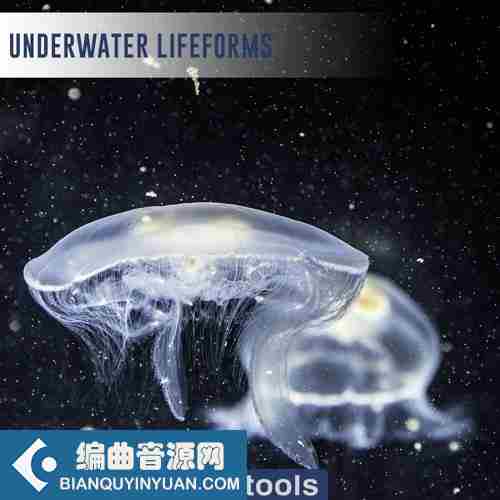SFXtools Underwater Lifeforms WAV-FANTASTiC