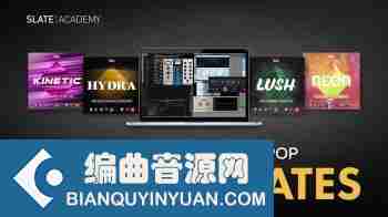 工程文件模板 – Slate Digital Pro Mix Templates