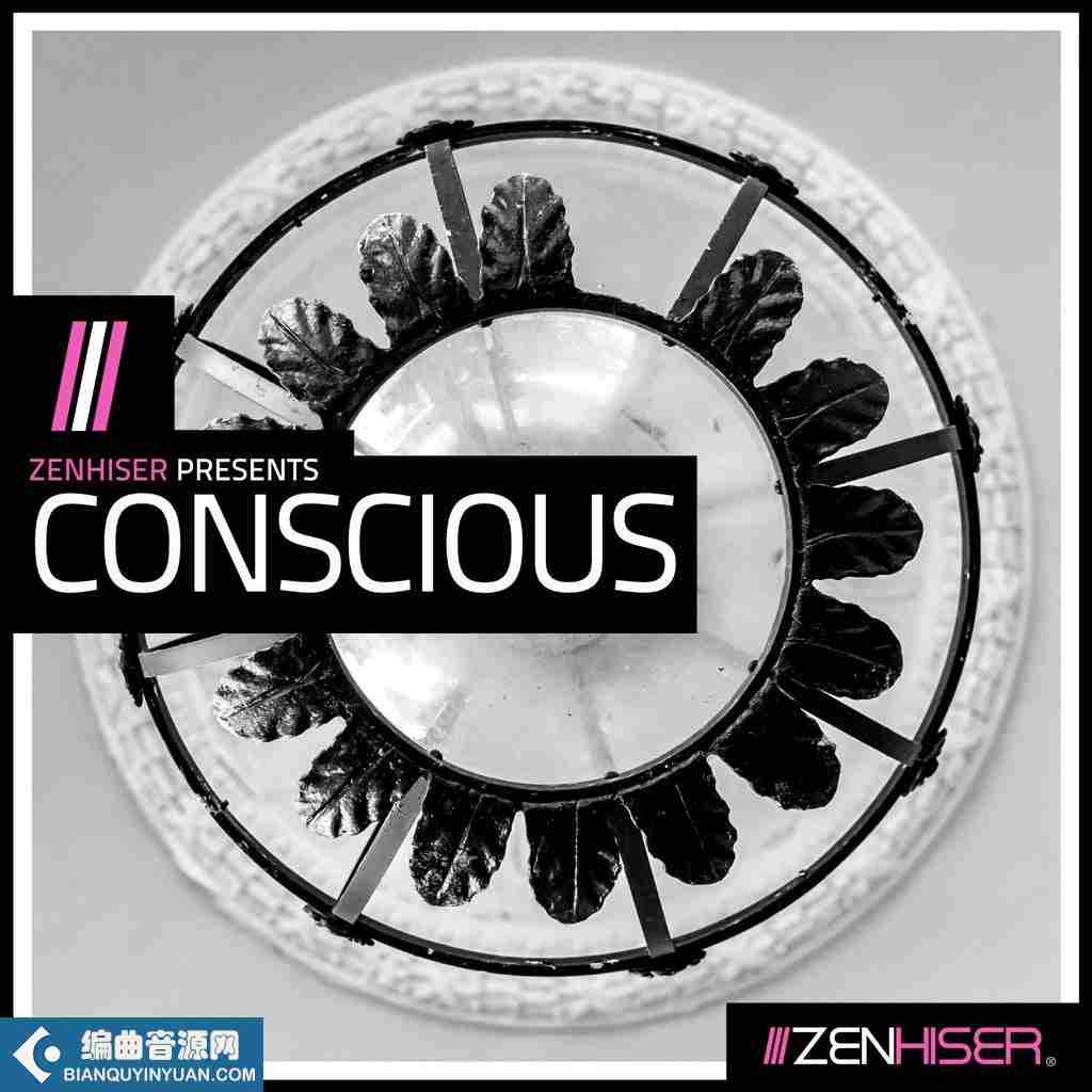 Zenhiser Conscious WAV