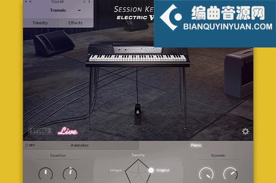沃立舍电钢琴 e-instruments Session Keys Electric W