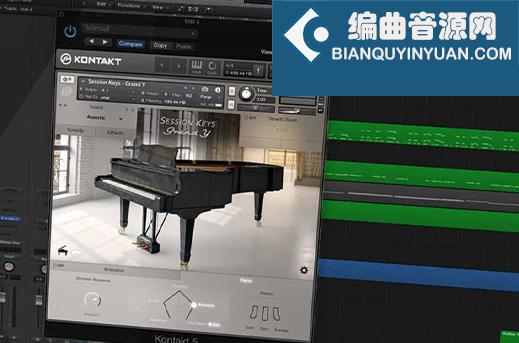 LOOP钢琴 e-Instruments Session Keys Grand Y