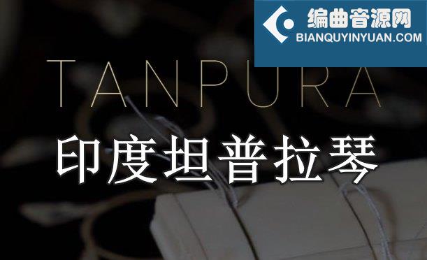印度坦普拉琴 Evolution Series World Strings Tanpura v1.0.0