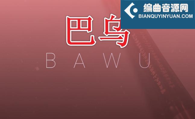 中国民乐巴乌 Evolution Series World Colors Bawu 2.0