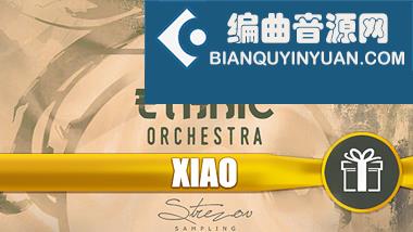 Strezov Sampling JADE Ethnic Orchestra Xiao Free 箫笛音色