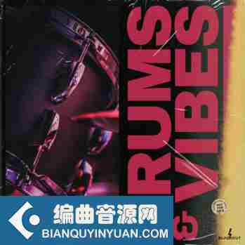 BLVCKOUT Drums And Vibes WAV MiDi-DISCOVER