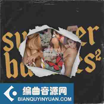 BLVCKOUT Summer Baddies 2 WAV MiDi-DISCOVER
