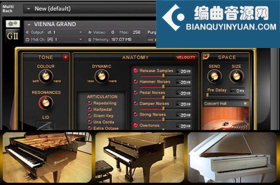 Best Service Galaxy II Pianos 三角钢琴合集