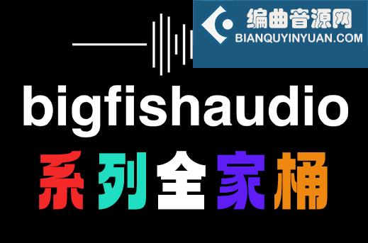 Big Fish Audio 系列合集（全家桶）康泰克音色