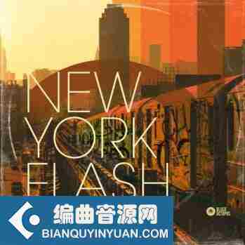 Black Octopus Sound New York Flash WAV-DISCOVER