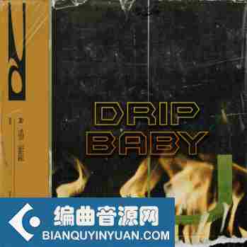 Cartel Loops Drip Baby WAV MiDi-DISCOVER