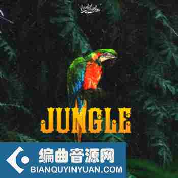 Cartel Loops Jungle Part 1 WAV MiDi-DISCOVER