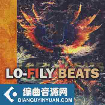 Cartel Loops Lo-Fily Beats WAV MiDi-DISCOVER