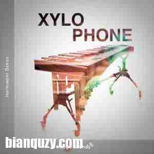 Image Sounds Xylophone WAV-DECiBEL