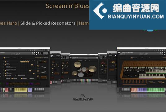 布鲁斯风格乐器 Insanity Samples Screamin Blues Collection v1.0.1