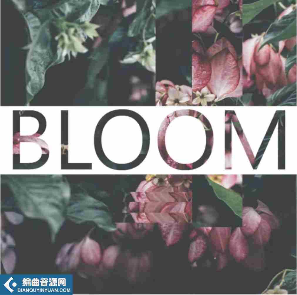 华丽的合成器 – Instruments by Lamprey Bloom Lush Synth Arp Kontakt