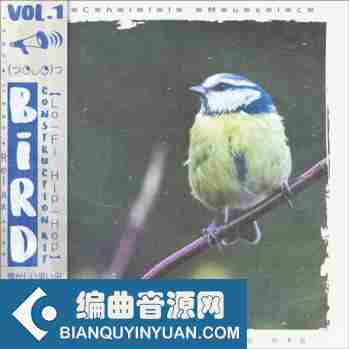 Kryptic Samples Bird Volume 1 WAV MiDi-DISCOVER