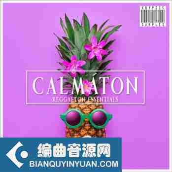 Kryptic Samples Calmaton 2 WAV MiDi-DISCOVER