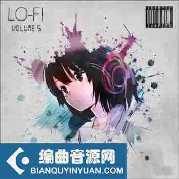 Kryptic Samples Lo-Fi Volume 5 WAV MiDi-DISCOVER