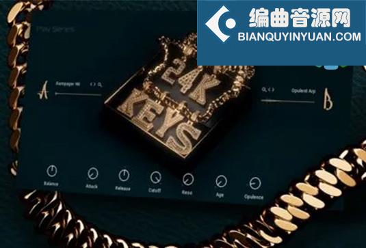 嘻哈键盘音源 Native Instruments 24K Keys