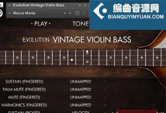 小提琴形电贝司 Orange Tree Samples Evolution Vintage Violin Bass v1.2.5