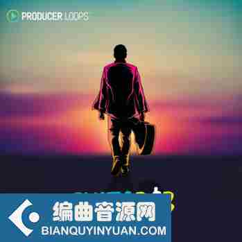 Producer Loops GuitaRNB MULTi-FORMAT-DISCOVER