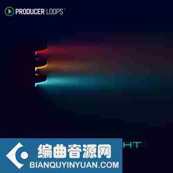 Producer Loops Into The Night MULTi-FORMAT-DISCOVER