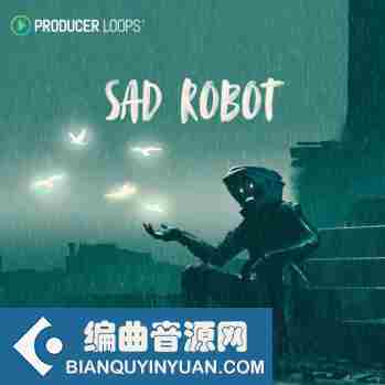 Producer Loops Sad Robot MULTi-FORMAT-DISCOVER
