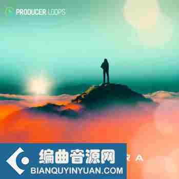 Producer Loops Trap Aura MULTi-FORMAT-DISCOVER