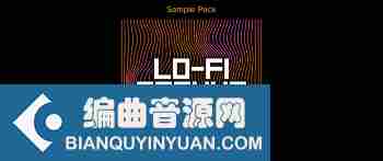 Roland Cloud Lo-Fi Techno WAV
