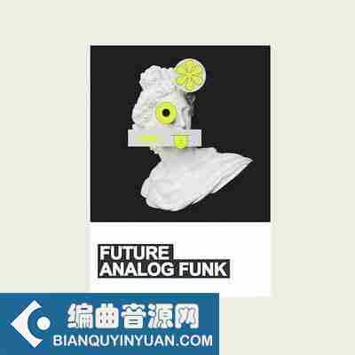 Samplestar Future Analog Funk WAV