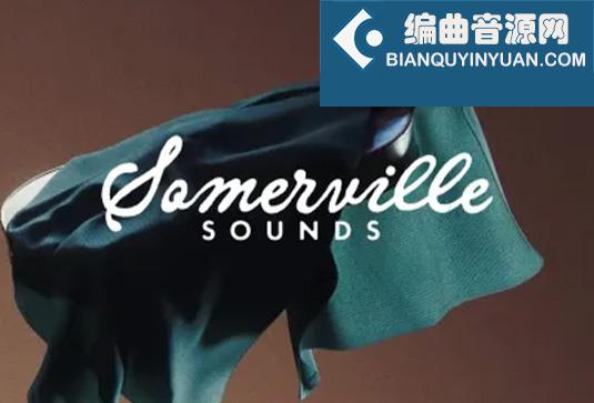 民谣电影小提琴 Somerville Sounds Woven Violin