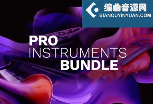 拓展音源 Steinberg Pro Instruments Bundle VSTSound