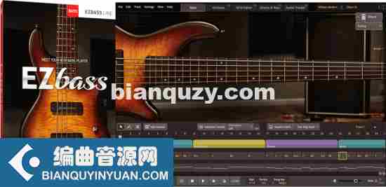 Toontrack EZbass v1.1.1 CE Update WIN MAC 升级包