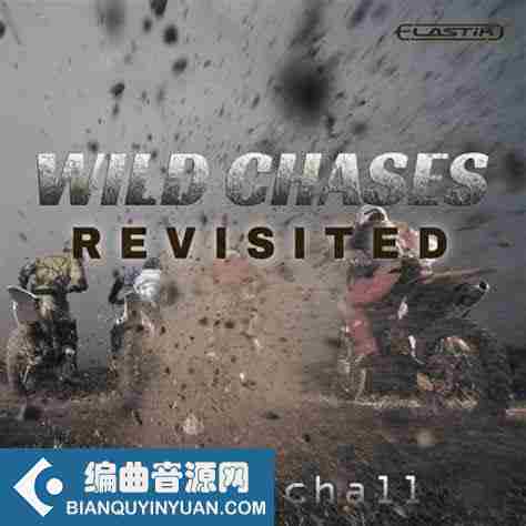 Ueberschall Wild Chases Revisited ELASTIK