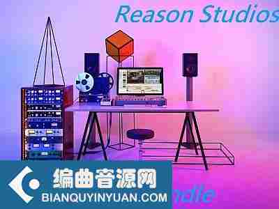 综合乐器 – Reason Studios Synths bundle 2021.11 Reason RE WiN