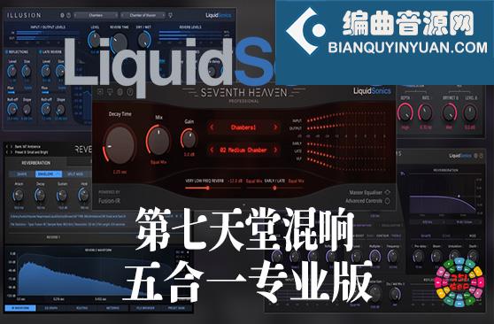 LiquidSonics 第七天堂混响 5合1套装 专业版 Win （包含Liquid Sonics Seventh Heaven Professional Seventh Heaven Professional Library Cinematic Rooms Professional Reverberate Lustrous Plates Illusion）