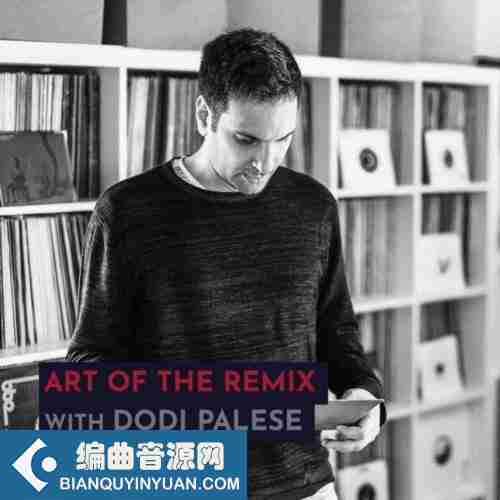 混音教程 – 343 Pro Sessions Dodi Palese: Art of The Remix TUTORiAL-DECiBEL