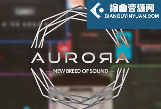 20个电吉他贝斯效果器合集 Aurora DSP Plugins Bundle v2025.8 R2R Win