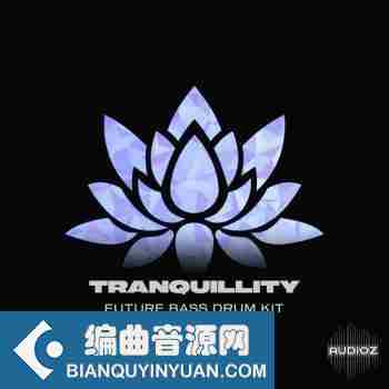 未来低音鼓套件 – BVKER Tranquillity Future Bass Drum Kit WAV MIDI-DECiBEL