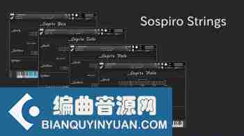 缓慢、情绪化的弦乐音源 – Ben Osterhouse Sospiro Strings v1.2 KONTAKT